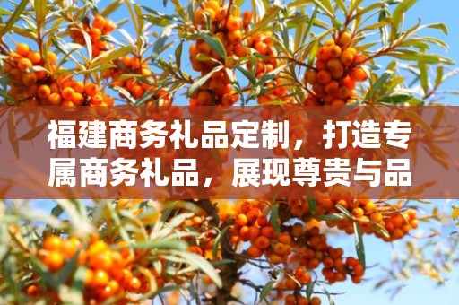 福建商务礼品定制，打造专属商务礼品，展现尊贵与品味